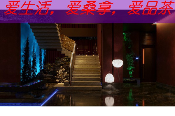 南宁维也纳桑拿，享受健康与美丽